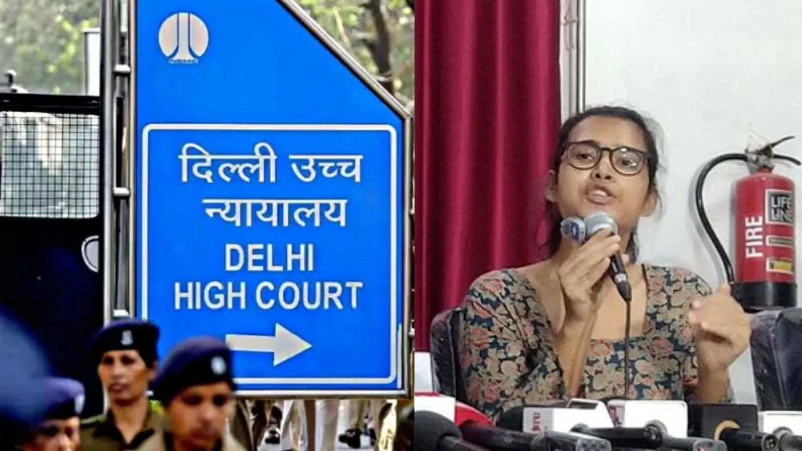 Nothing wrong in demanding regime change in democracy, Neha Bora's lawyer tells court