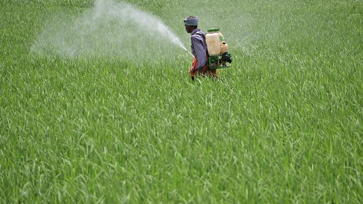 Climate change silently reducing nutrient content in India's staple crops