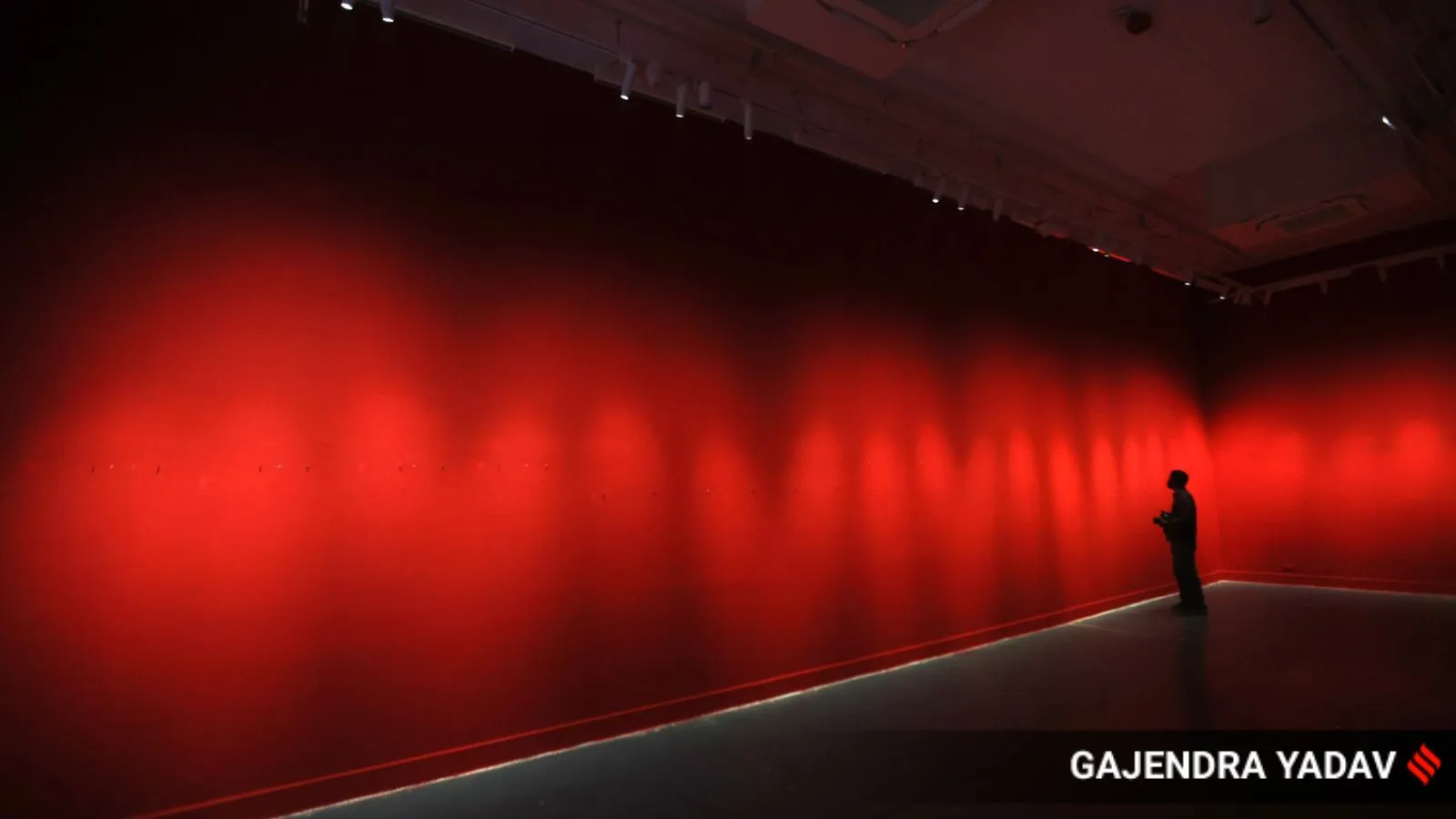Priyanka backs son Raihan over exhibition; Bikaner House says photos were 'inconsistent with policy'
